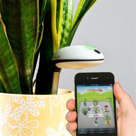 best plant monitor|5 Best Plant Sensors for Smart Gardeners .